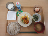0822海朝
