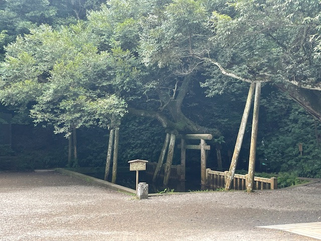 ６