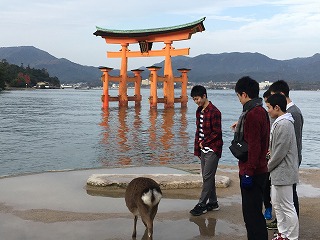 宮島③